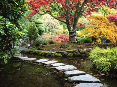Découvrez 5 plantes parfaites pour créer votre jardin japonais