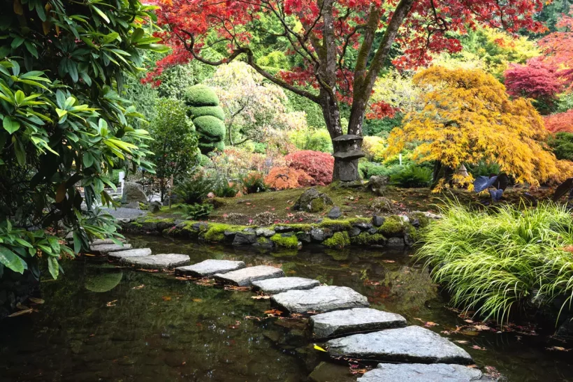 Découvrez 5 plantes parfaites pour créer votre jardin japonais