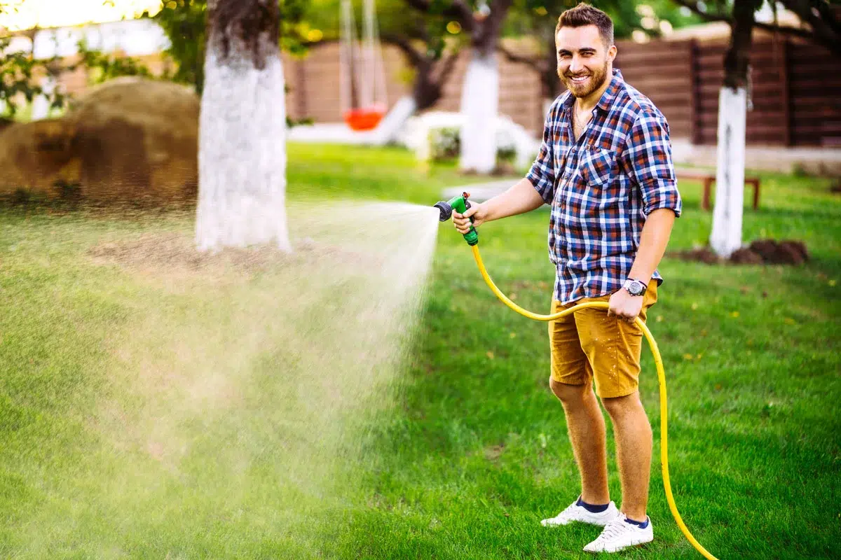 Gazon ou alternative économe en eau : quel choix faire pour votre jardin ?