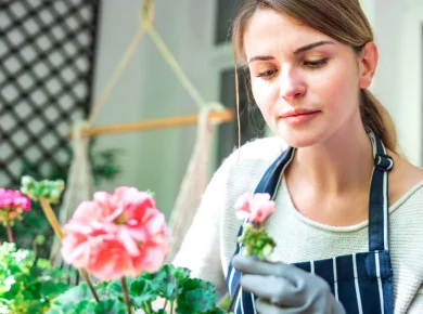 Un balcon fleuri cet automne : mes 7 plantes faciles à cultiver en pot