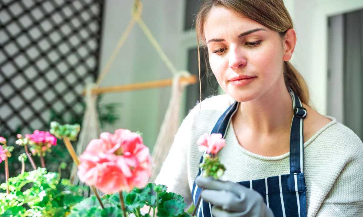 Un balcon fleuri cet automne : mes 7 plantes faciles à cultiver en pot