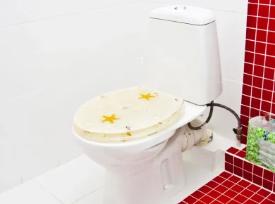 Découvrez ces 5 astuces simples pour relooker vos toilettes en un clin d'œil !
