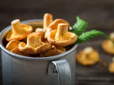 Cuisinez malin avec ces 5 légumes de septembre : nos idées gourmandes et originales