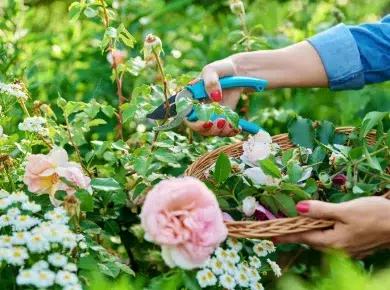 Découvrez les travaux incontournables du potager en octobre