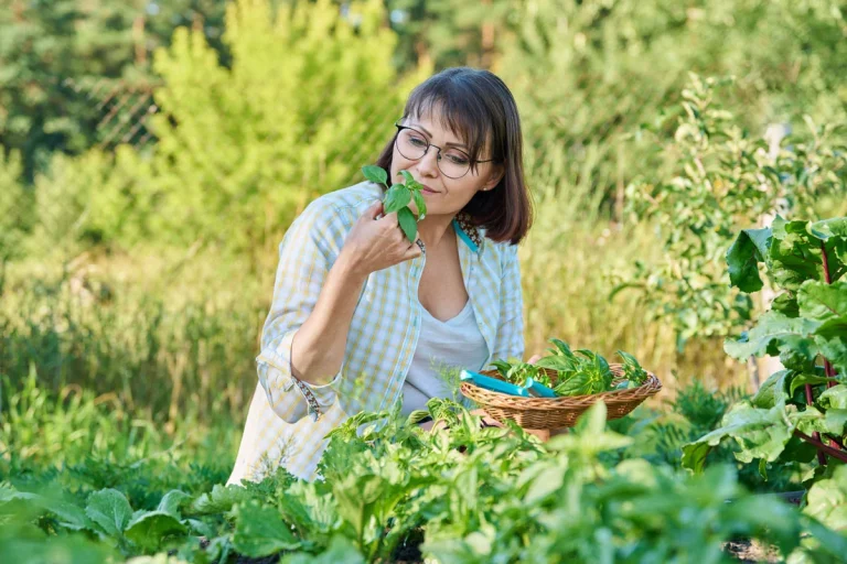 L'été indien persiste : découvrez les secrets pour prendre soin de votre jardin