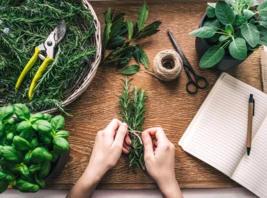 Découvrez comment faire sécher vos plantes aromatiques du jardin