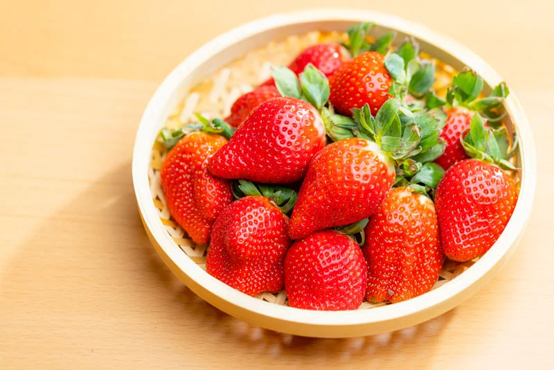 Sélectionner les variétés de fraisiers adaptées à votre région