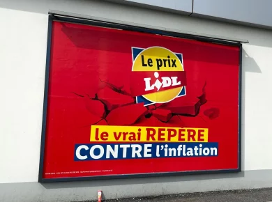 Chez Lidl : 7 plantes à acheter dès aujourd’hui à -50% ou 2+1 offerts