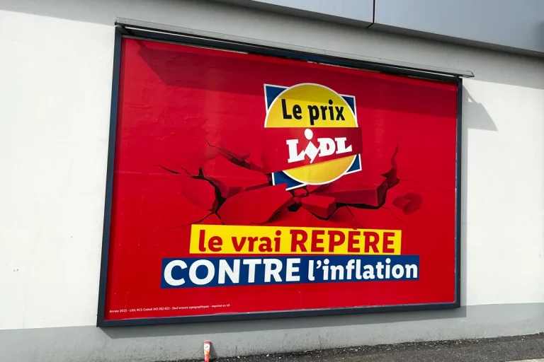 Chez Lidl : 7 plantes à acheter dès aujourd’hui à -50% ou 2+1 offerts