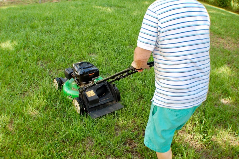 Louer du matériel de jardinage : la solution économique et pratique