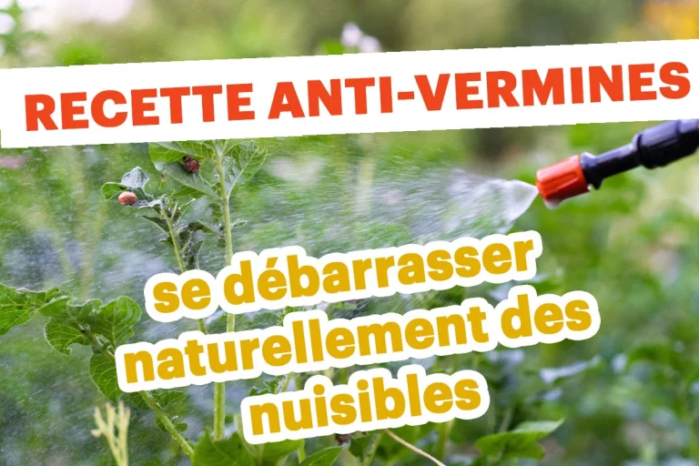 Adieu pucerons, punaises et cochenilles : la solution naturelle qui fonctionne