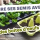 Découvrez l'astuce étonnante pour transformer vos boîtes d'œufs en pots de semis