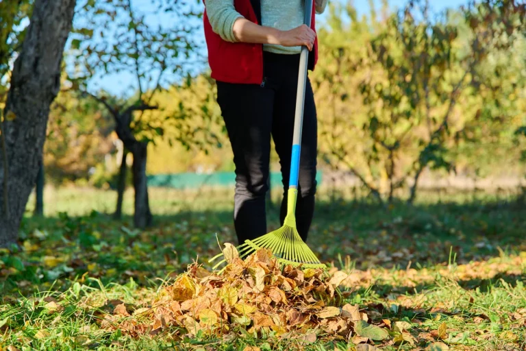 Voici les 3 principales tâches à faire au jardin en septembre