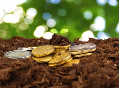 Connaissiez-vous l'astuce insolite des pièces de monnaie pour vos plantes ?