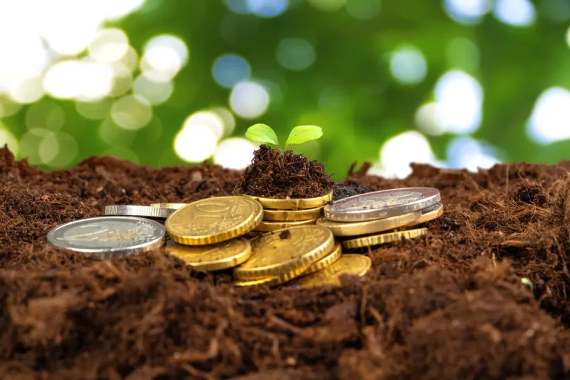 Connaissiez-vous l'astuce insolite des pièces de monnaie pour vos plantes ?