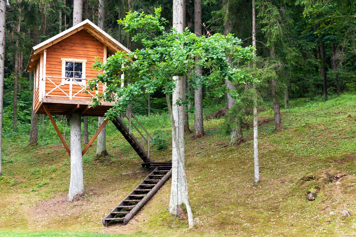 Une cabane dans les arbres pour vos enfants : voici comment la construire