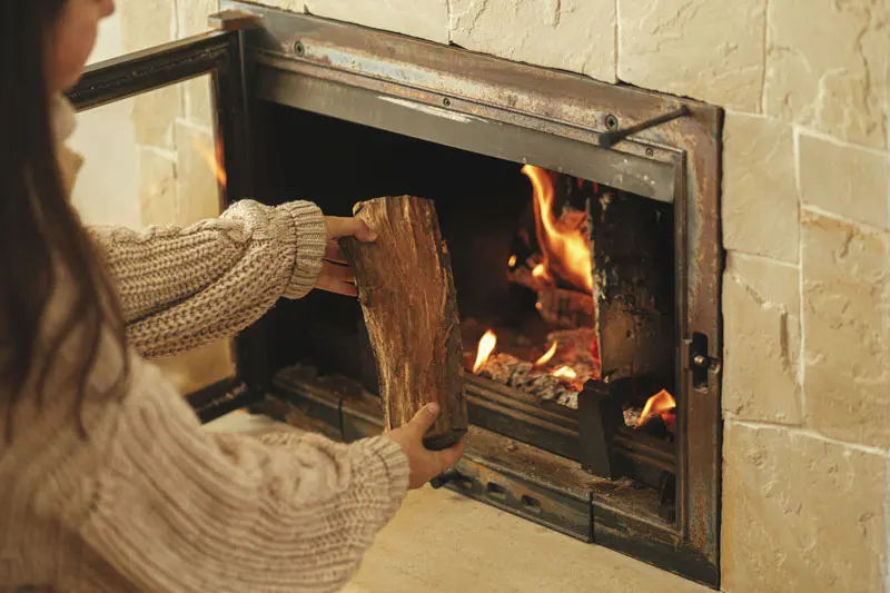 

Influence du type de bois sur le pouvoir calorifique