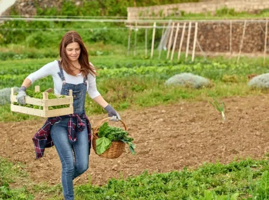 8 légumes à planter en octobre dans votre potager