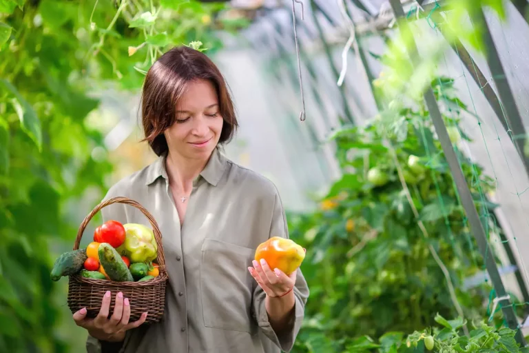 7 légumes parfaits à planter dans votre serre cet hiver