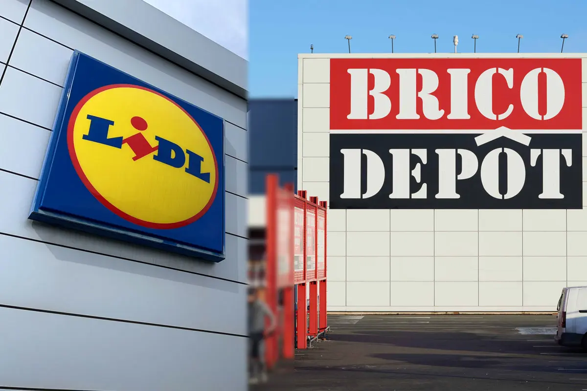 Lidl vs Brico dépôt : ou acheter votre tronçonneuse thermique ?