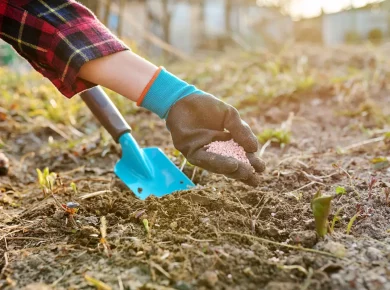 Comment enrichir et fertiliser votre jardin en automne-hiver ?