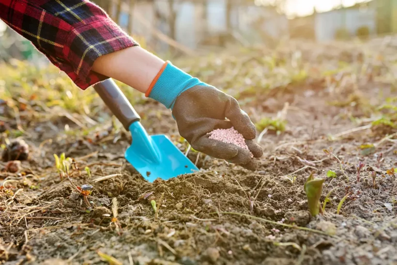 Comment enrichir et fertiliser votre jardin en automne-hiver ?