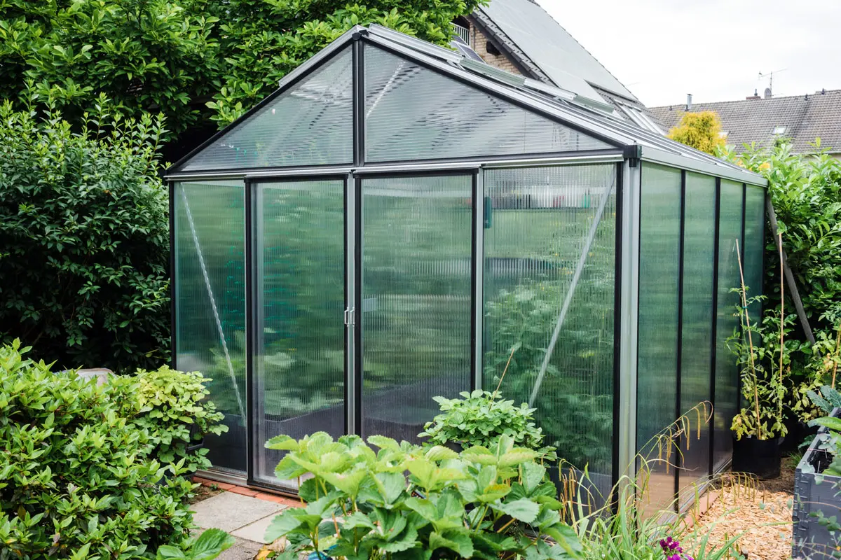 Jardiland, GammVert, Brico Dépôt : où acheter votre serre de jardin ?