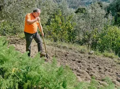 Au potager : c'est l'heure du grand nettoyage avant l'hiver