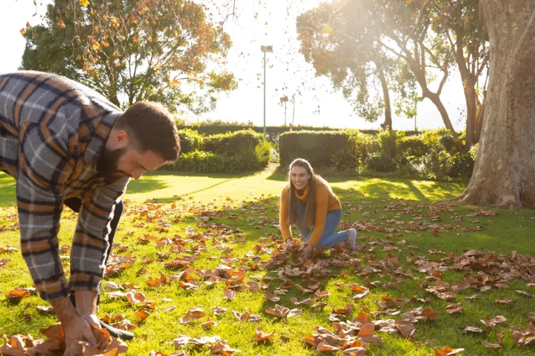 Températures en baisse : découvrez comment protéger votre jardin