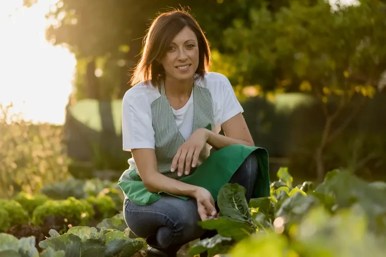 Au potager en novembre : que devez-vous planter, semer et récolter ?