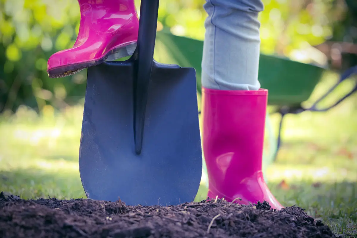 Novembre : les 10 travaux essentiels à faire dans votre potager