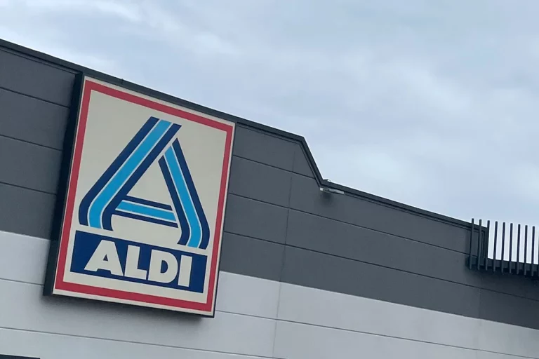 Découvrez l'appareil Aldi parfait pour entretenir vos allées en offre Black Friday