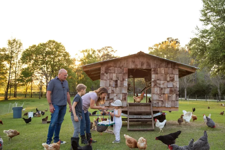 Comment choisir le poulailler idéal et adapté à votre jardin ?