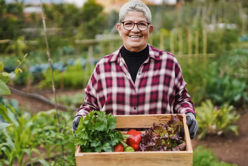 Fabriquez rapidement votre potager DIY avec du bois de palettes