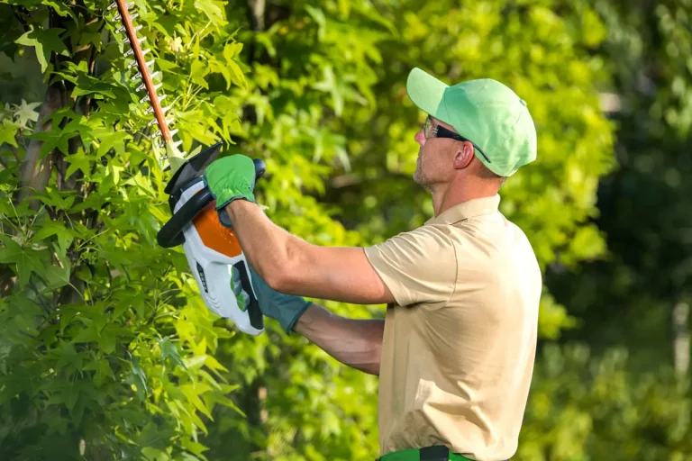 Entretien du jardin d'une maison en location : quelles responsabilités pour le locataire ?