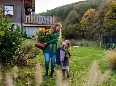 5 tâches cruciales pour votre potager en décembre : ne les manquez pas