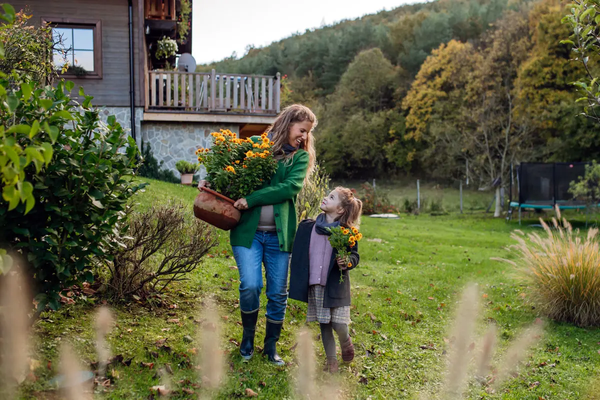 5 tâches cruciales pour votre potager en décembre : ne les manquez pas