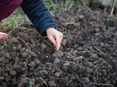 Préparation hivernale de votre potager : voici les étapes à ne pas négliger