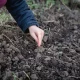 Préparation hivernale de votre potager : voici les étapes à ne pas négliger
