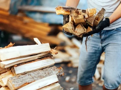 5 astuces pour protéger votre bois de chauffage des nuisibles