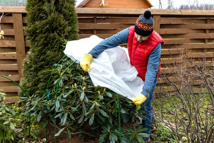7 conseils pratiques pour protéger vos plantes de l'arrivée du froid