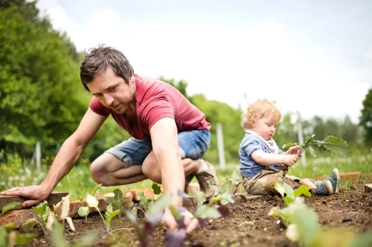 La rotation des cultures au potager en novembre : voici comment la réussir