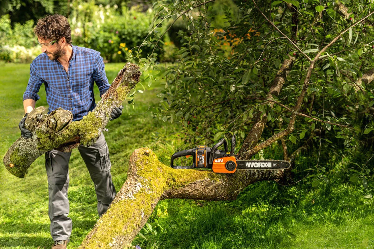 Tronconneuse Worx ou Stihl MS 231 : laquelle choisir et où l'acheter moins cher sur Internet ?