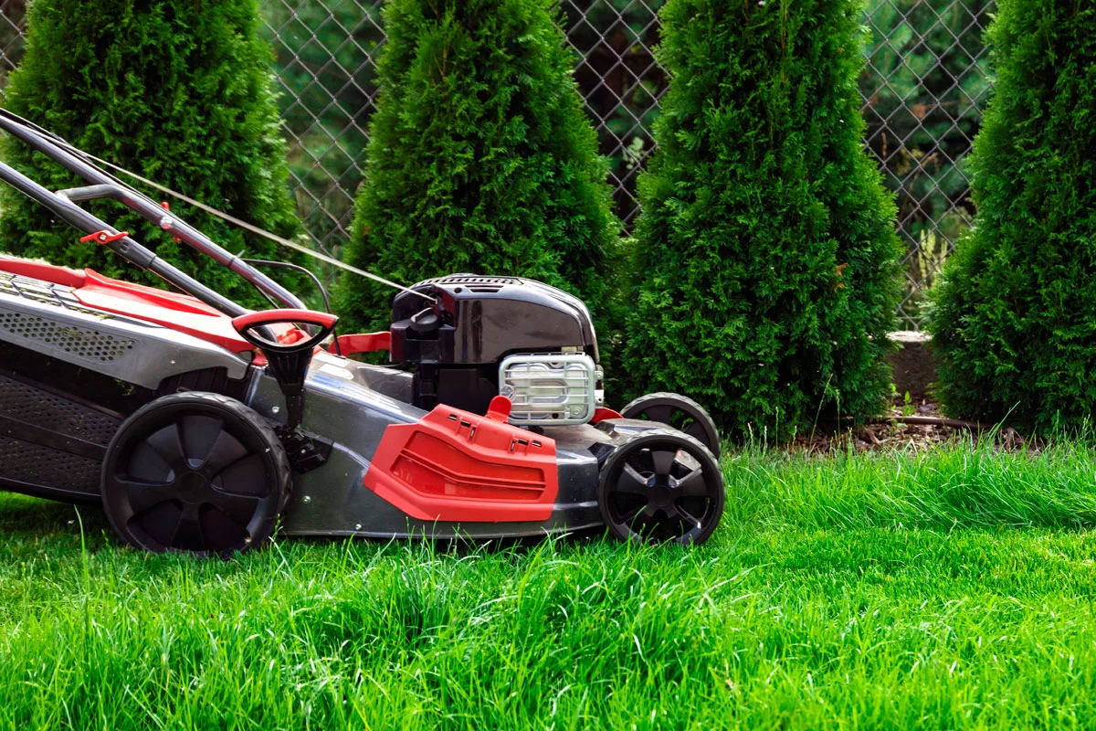 Tondre votre gazon en novembre ? Techniques et conseils pour une dernière tonde réussie