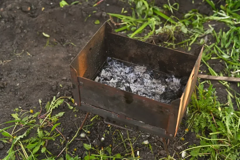 Astuce jardin : utilisez vos cendres de bois dans votre jardin cet hiver