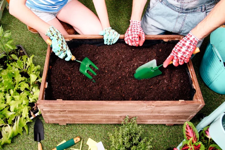 Bac de jardinage : les atouts du jardin sur pieds