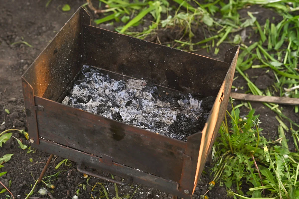 Comment utiliser les cendres de bois au jardin sans nuire aux plantes ?