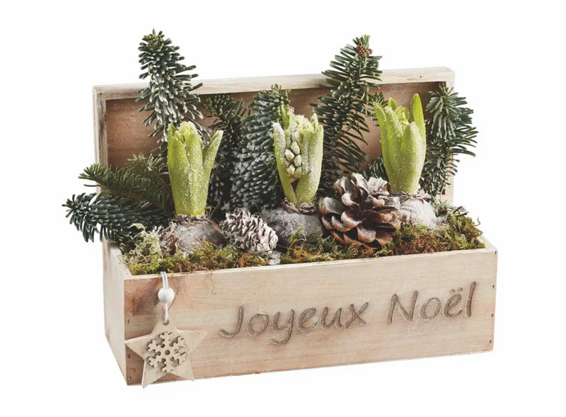 Une composition jardinière bois avec 3 jacinthes, vendue à 8,99€ chez Lidl