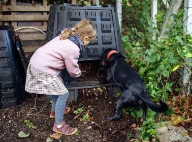 Évitez les bêtes du jardin dans votre compost cet hiver avec ces techniques