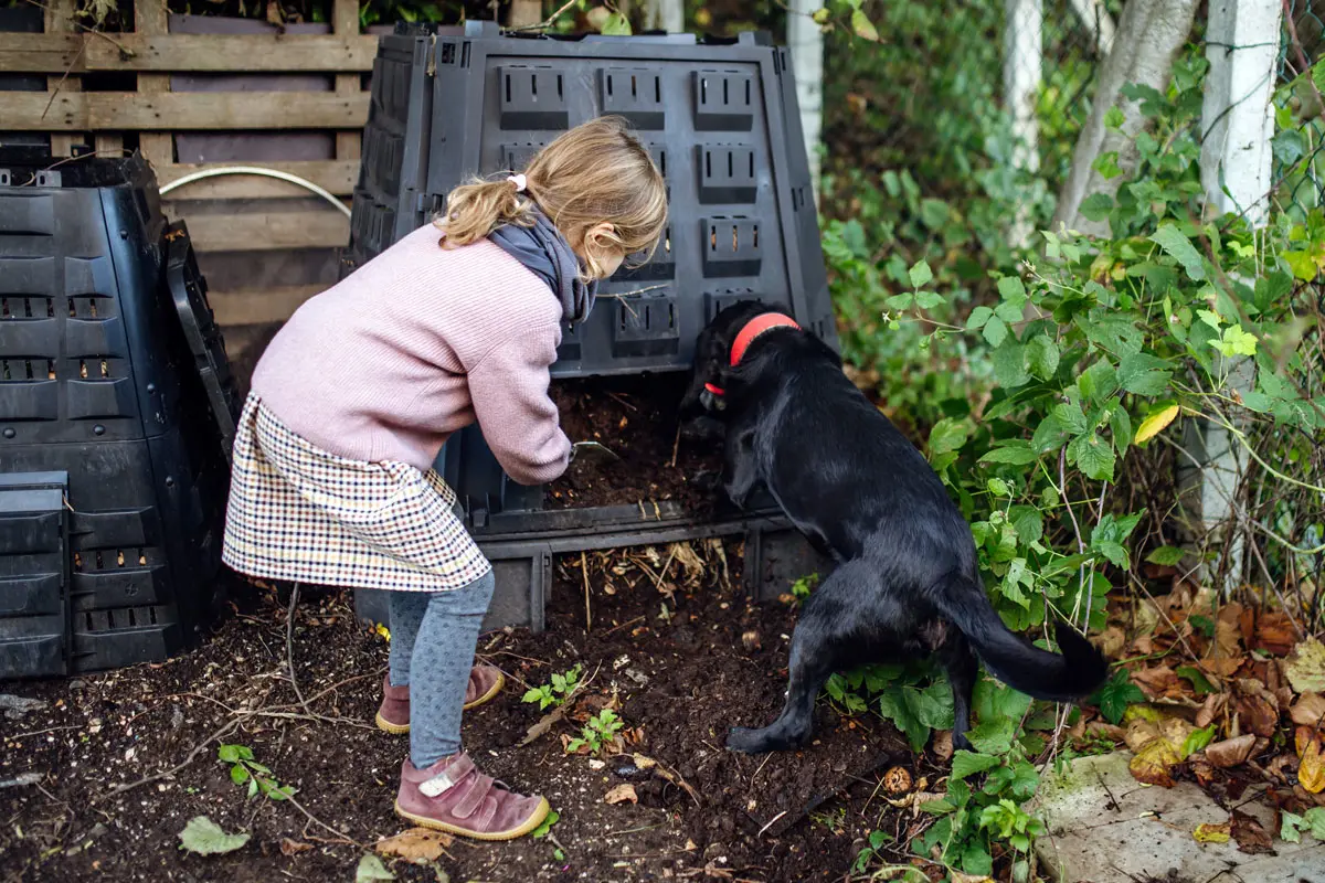 Évitez les bêtes du jardin dans votre compost cet hiver avec ces techniques